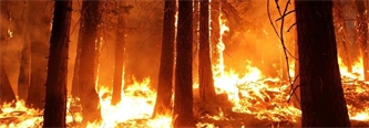 New Fire Factor Tool Identifies Wildfire Risk