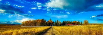 The Road To Buying Your First Rural Home