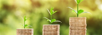 Growing Green: An Investor's Guide To Investing In Land Real Estate