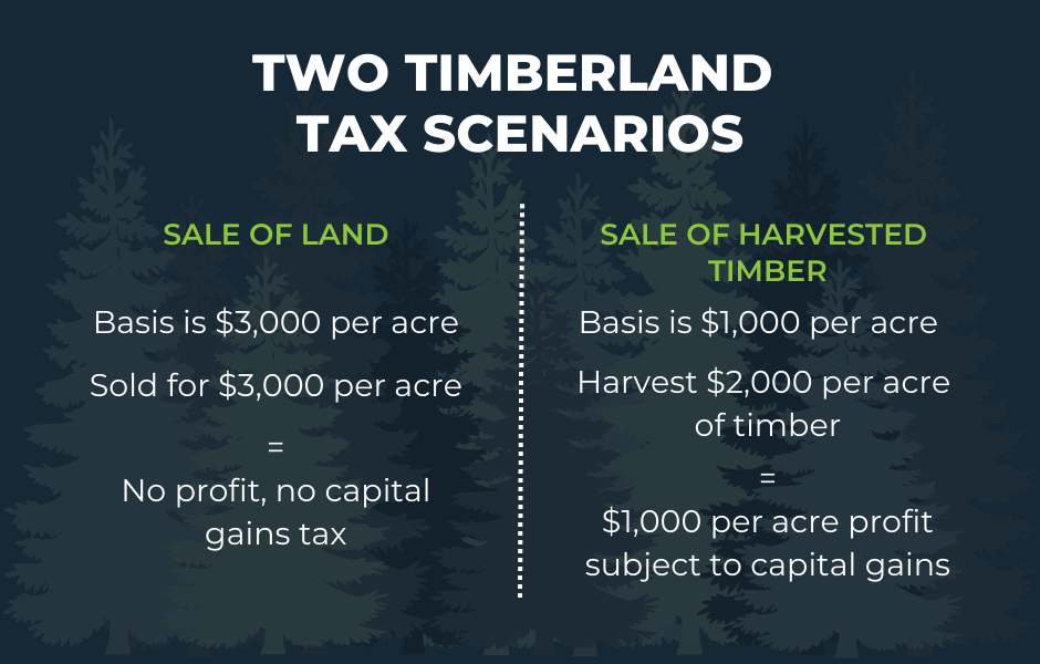 The Beginner's Guide to Managing Newly Acquired Timberland - REALTORS ...
