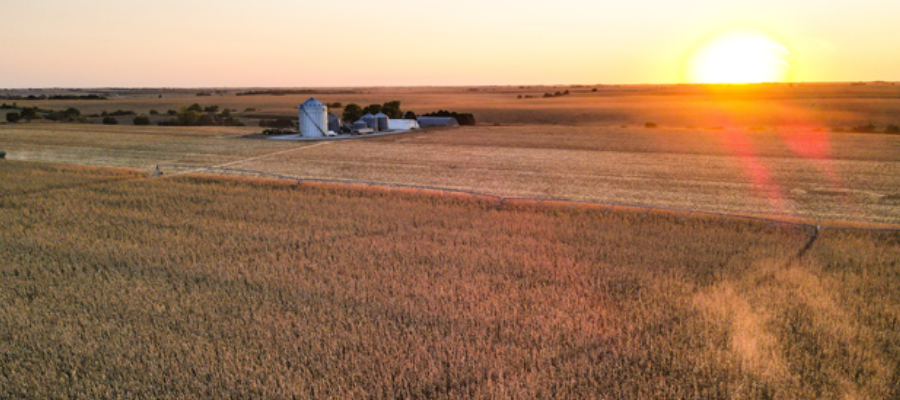 How To Value Farmland: Part One