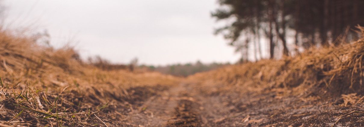 In What Ways Do Soil Types Affect Land Use?