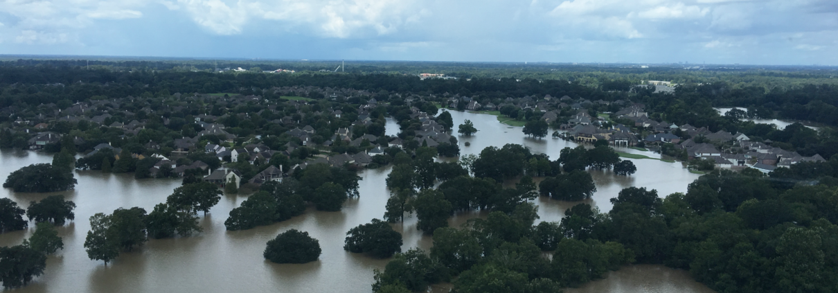 A Quiet Strength: The Voice of Advocacy in the Wake of Devastation