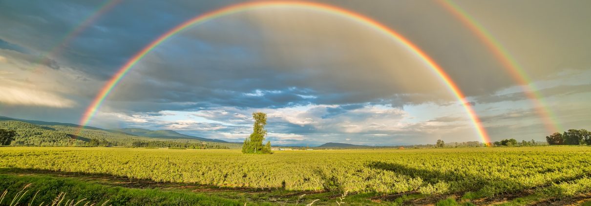 The Basics of Farmland Investing