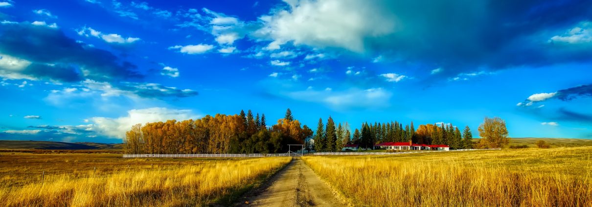 The Road To Buying Your First Rural Home