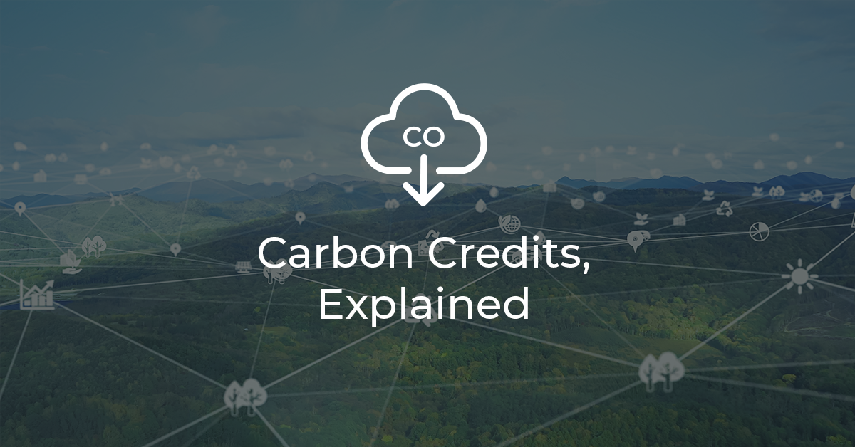 Carbon Credits, Explained