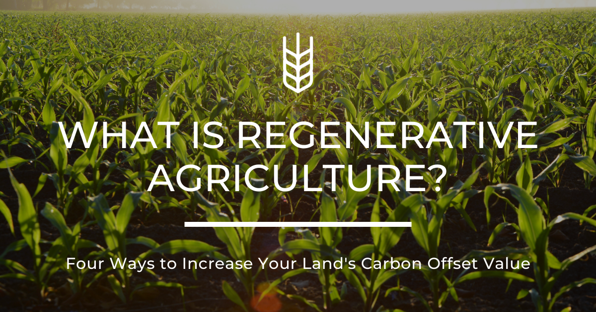 Can Regenerative Agriculture Help Your Land Earn More?