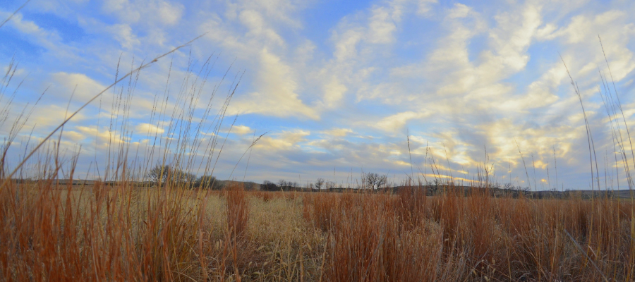 Preparing Land for Sale: Light, Timing, and Storytelling