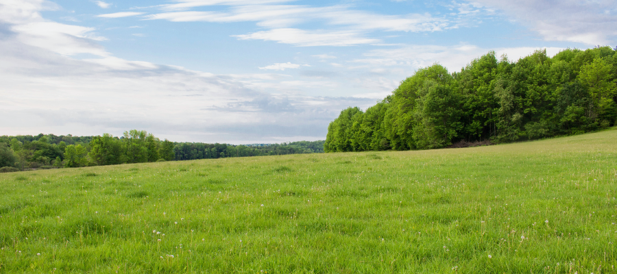 Finance Your Land Purchase