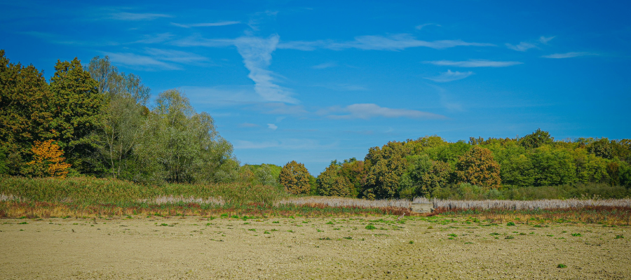 Vacant Land Fraud: 5 Ways Landowners Can Help Protect Their Property